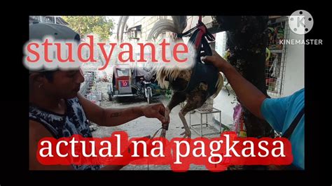 BAGONG STUDYANTE UNANG PAGTATARI SA MANOK.